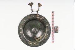 Foto von Bronzebreitrandschale (NHMW-PRAE-025247)